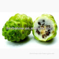 High Quality Noni Fruit Seeds For cultivating